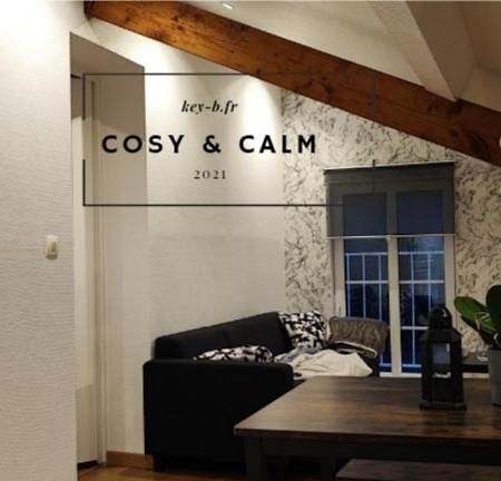 Calm & Cosy Apartment Freyming-Merlebach Ngoại thất bức ảnh