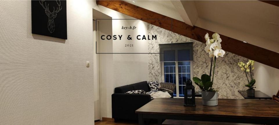 Calm & Cosy Apartment Freyming-Merlebach Ngoại thất bức ảnh