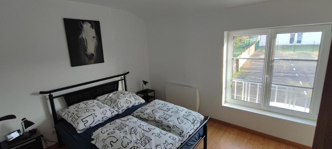Calm & Cosy Apartment Freyming-Merlebach Ngoại thất bức ảnh